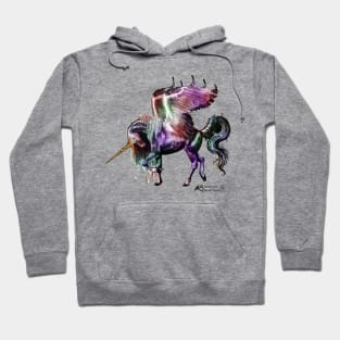 horse pony equine pegacorn pegasus unicorn Hoodie